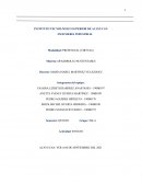 Diferencias entre sustentable y sostenible, desarrollo y sustentabilidad