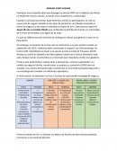 ANALISIS CASO VUELING