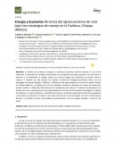 Energía y Economía eficiencia del agroecosistema de maíz bajo tres estrategias de manejo en la Frailesca, Chiapas (México)