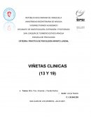 PRÁCTICA DE PSICOLOGÍA INFANTO-JUVENIL VIÑETAS CLINICAS