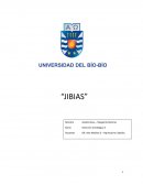 Proyecto Emprendedor. Jibias