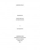 LABORATORIO DE FISICA