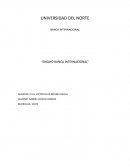 ENSAYO BANCA INTERNACIONAL
