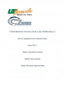 ORGANIZACIÓN INDUSTRIAL(ESTRUCTURA ORGANIZACIÓN)