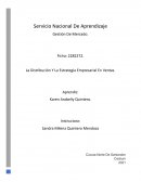 La Distribución Y La Estrategia Empresarial En Ventas