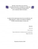 ELABORACIÓN DE ABONO ORGÁNICO EN PLANTACIONES DE CAFÉ