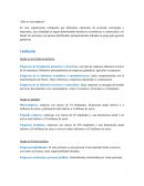 Todo sobre las empresas