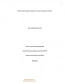 Sembrar material vegetal o tubérculos con base en parámetros técnicos