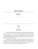 Política Monetaria del Banco Central de Chile