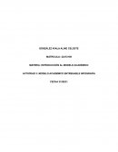 MODELO ACADEMICO ENTREGABLE INFOGRAFÍA