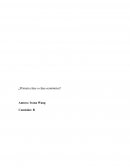 ¿Primera clase o clase económica?