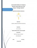 ENSAYO VISION DE PAÍS Y PLAN DE NACIÓN