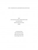 Análisis de información de Datos, MASTERMOTORS K&K