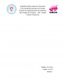 Rentas Cálculo Financiero y Cómo Afectan al Entorno Económico