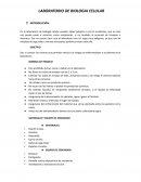 LABORATORIO DE BIOLOGIA CELULAR