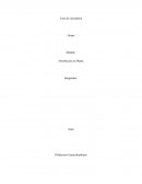 TERCERA ENTREGA DISTRIBUCION