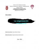 La organización empresarial