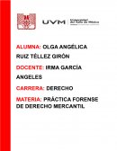 PRÁCTICA FORENSE DE DERECHO MERCANTIL