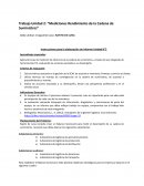 Trabajo Unidad 2: “Mediciones Rendimiento de la Cadena de Suministros”