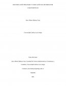 Identificación preliminar de procesos