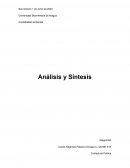 Contabilidad ambiental Analisis