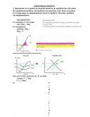 COMPETENCIA PERFECTA