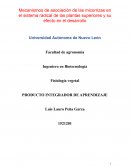 Mecanismos de asociación de las micorrizas en el sistema radical de las plantas superiores y su efecto en el desarrollo