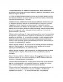 SISTEMA NERVIOSO RESUMEN