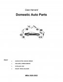 Domestic Autoparts I Resolucion