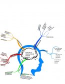 REVISIÓN DEL CONOCIMIENTO Y EXPERIENCIA PREVIA