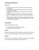 Análisis de 3 propuestas empresa Diversión S.A