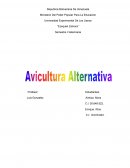 La producción avícola