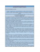 Etiología de la pedofilia por neurodesarrollo: marcadores y alteraciones cerebrales