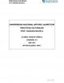 Practicas Culturales Unaj