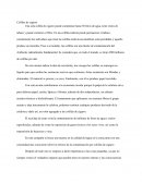 Ensayo Colillas de cigarro
