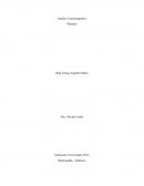 Análisis cinematográfico de película Parasite