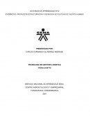 Propuesta de estructuracion de sistemas logisticos