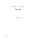 Ensayo Mas Allá de la pizarra