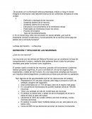 DEFINICIÓN Y TIPOLOGÍA DE LAS NEURONAS