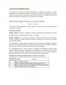 LOS NUTRIENTES