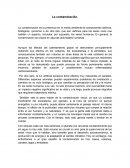 Tipos de contaminación