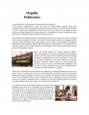 ¿Qué significa para mi pertenecer al Instituto Politécnico Nacional?