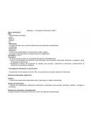 TI TECNOLOGIAS DE LA INFORMACION