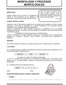 MORFOLOGÍA Y PROCESOS MORFOLÓGICOS