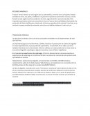 PRODUCCION AGRICOLA. RECURSOS MINERALES
