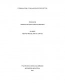 FORMULACION Y EVALUACION DE PROYECTOS