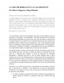 LA VIDA MICROBIANA EN LA CASA DOLIENTE