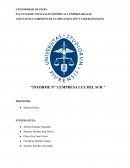 Diagnóstico y análisis de la situación: Análisis y descripción de los 11 elementos del octógono