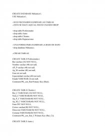 Base de datos. CREATE DATABASE Mekanico1;. Página 1