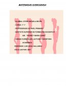 La subrogación en Argentina